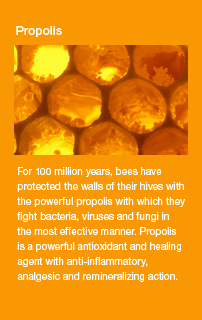 Propoleo