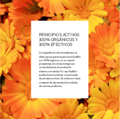 Descargar Sales Folder